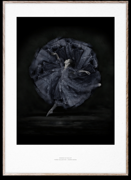 Juliste 'Essence of Ballet 06' 50x70 - Musta/Valkoinen