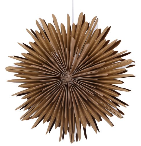 Adventtitähti 'Svedala' 35cm - Ruskea