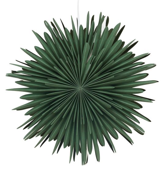 Adventtitähti 'Svedala' 46cm - Vihreä
