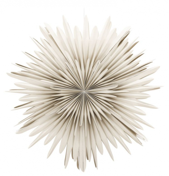 Adventtitähti 'Svedala' 100cm - Beige