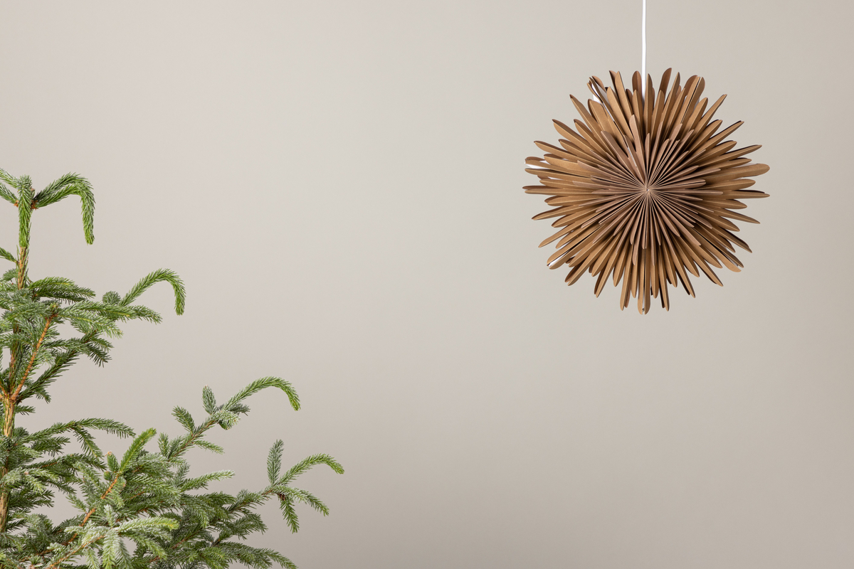 Adventtitähti 'Svedala' 35cm - Ruskea