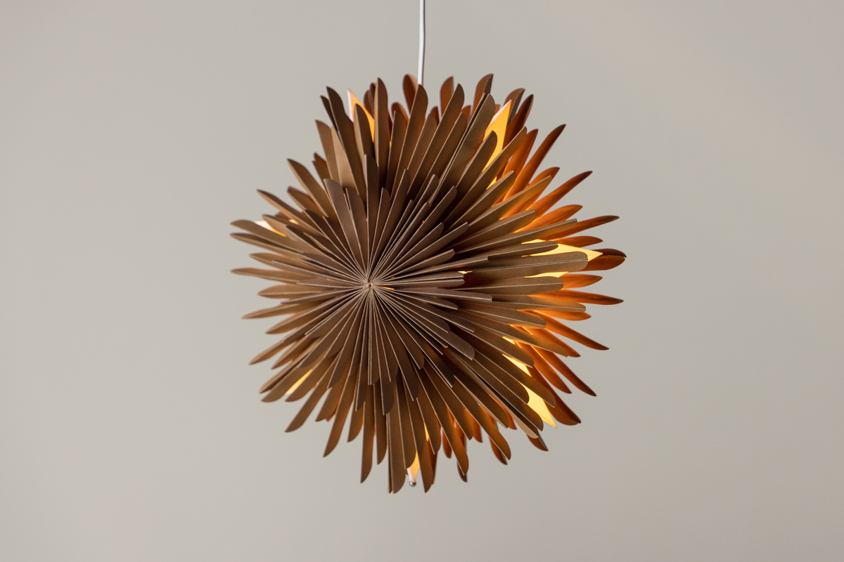 Adventtitähti 'Svedala' 35cm - Ruskea