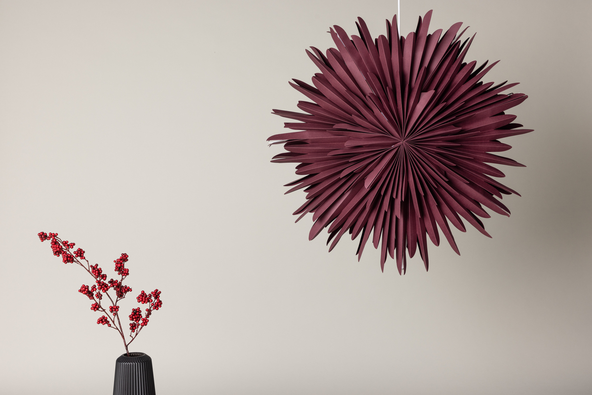 Adventtitähti 'Svedala' 80cm - Punainen