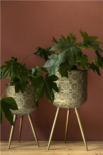 Ruukku 'Botanique' M - Messinki