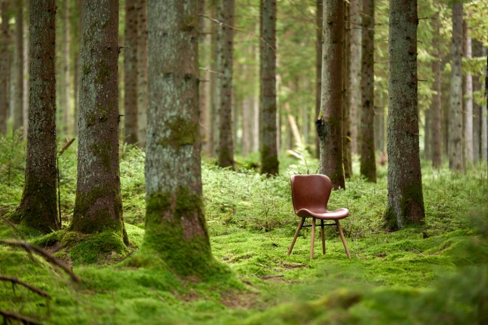 Tuoli 'Böda' - Luonnonväri/Ruskea