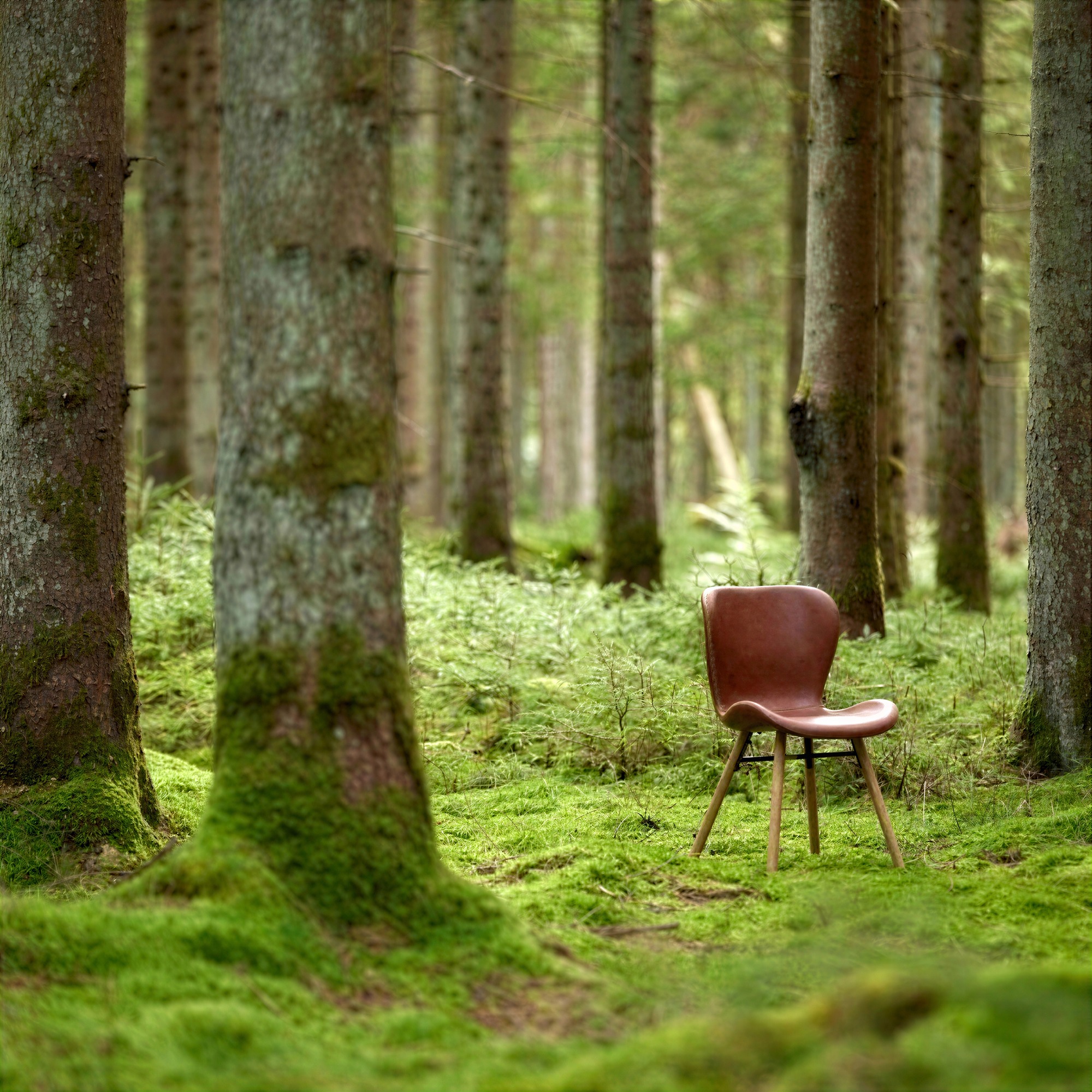 Tuoli 'B&ouml;da' - Luonnonv&auml;ri/Ruskea