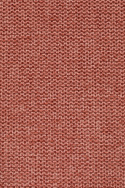 Tuoli \'Jolien\' -Ruusu/Kulta
