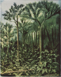 Seinätaulu \'Botanic\' 100x127 - Vihreä