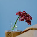 Jakkara \'Rose Teak\' - Luonnonvärinen