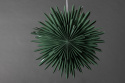 Adventtitähti \'Svedala\' 46cm - Vihreä