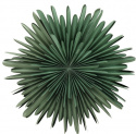 Adventtitähti \'Svedala\' 80cm - Vihreä