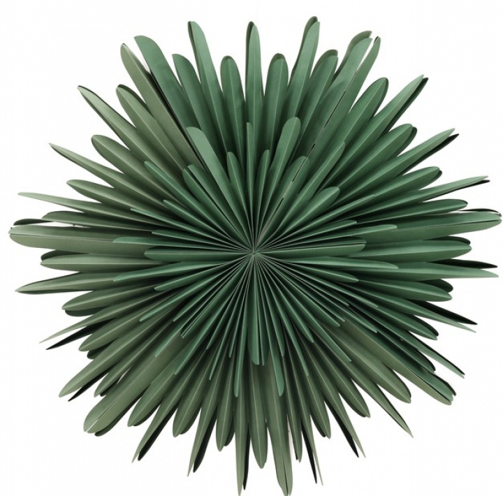 Adventtitähti \'Svedala\' 80cm - Vihreä ryhmässä Joulu / Joulukoristeet / Joulutähdet @ Reforma (20033-104)