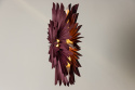 Adventtitähti \'Svedala\' 80cm - Punainen
