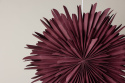 Adventtitähti \'Svedala\' 80cm - Punainen