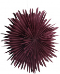 Adventtitähti \'Svedala\' 80cm - Punainen