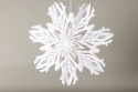 Adventtitähti \'Kungälv\' - Valkoinen