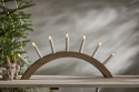 Adventtikynttilänjalka \'Aura\' - Puu