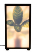 Lattiavalaisin \'Grow\' M