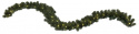 Garland \'Ottawa\' - Vihreä